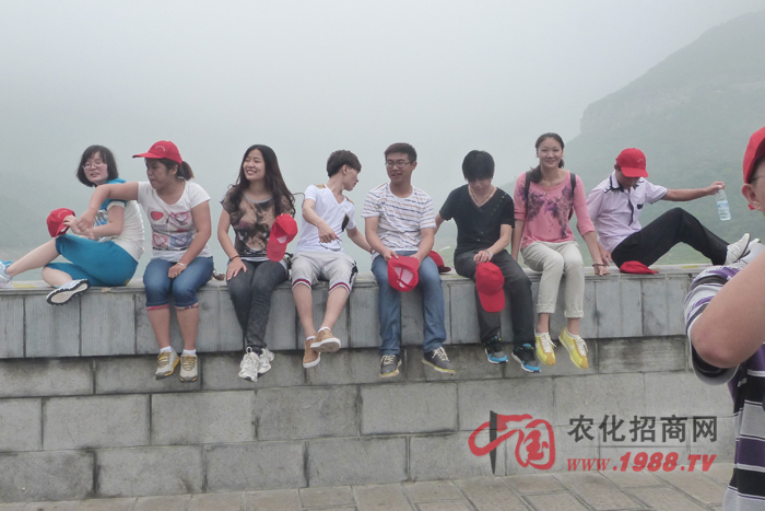 ���g����Ƭ