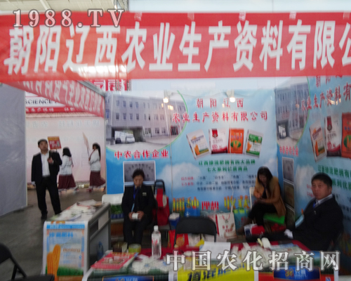 ����|��Ц�Ǻǅ���2014��������p����