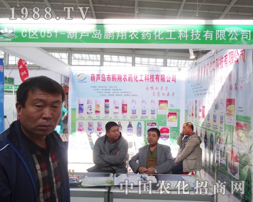 �i���rˎ���ӵ�ʮ����ꖷ����p����