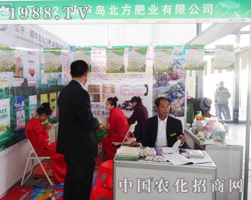 ���J�u����ꑡ�2014���(y��ng)���ϕ�(hu��)