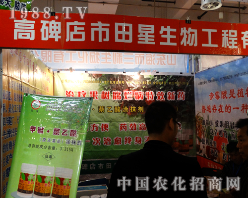 �����������ą����˵�20��ɽ�|ֲ����