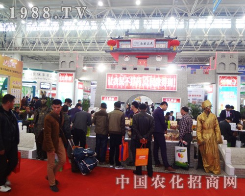 ���������đ��(chu��ng)���������ʮ��ȫ��ֲ����(hu��)