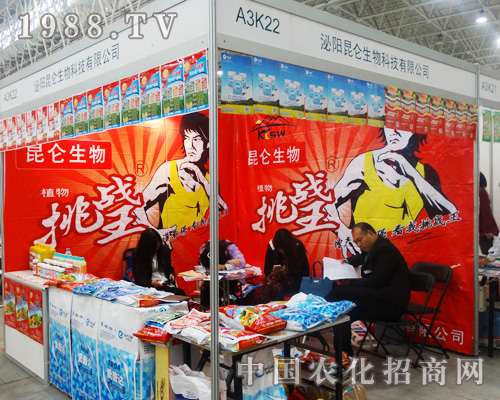     �͑��������������Ƽ�