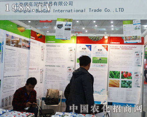 �Ϻ������Q�׹�˾�ɹ����ӵ���ʮ��ȫ��ֲ����