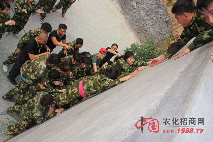 �����y������(zh��n)��ǰ����Ҷ������ľ���������w�F(xi��n)������(zh��n)�������۟��F(tu��n)꠵ľ�����