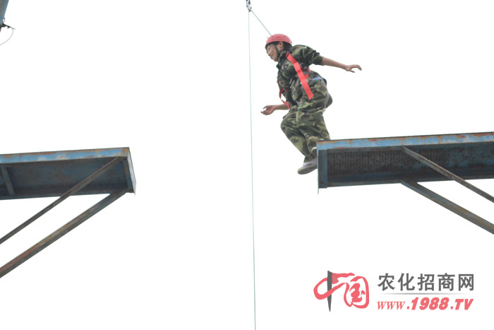 ��Ӗ(x��n)�нo��ӡ����̵��ǡ�ä�˷������������·���߿Ք������������I(y��)�����Ȏׂ�(g��)�(xi��ng)Ŀ����