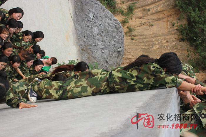 �ġ���������·���������I(y��)�����ɂ�(g��)�Α��ǎ��o��Ҹ��|����Ӱ푵ăɂ�(g��)�(xi��ng)Ŀ��