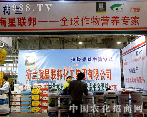 ����(li��n)�����I(y��ng)�B(y��ng)����