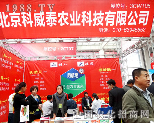 ��������̩�A������2015��ɽ�|��(j��)��ֲ����