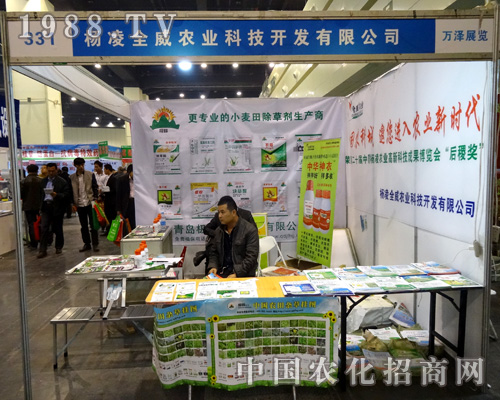 ����ȫ���r�I(y��)��2015������rˎ�������ƏV