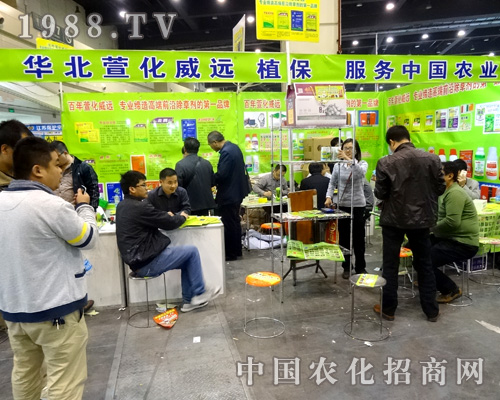 �A���滯��Ԫ��18�ú����rˎ�����̻�