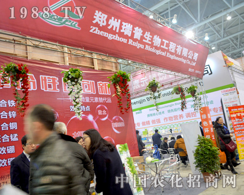 ����������ȫ��ֲ�����д���������