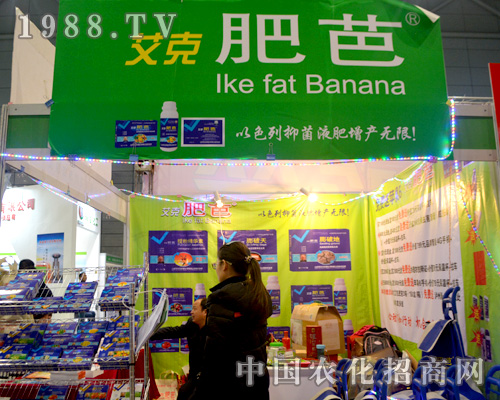 ���˷ʰŷe�O����ȫ��ֲ����