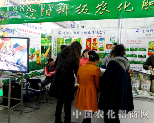 �|ꖿ�����2015�����I�N�ӕ��ς�����A��