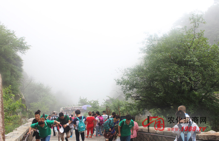 ̩ɽ֮�p��ɽ�����h