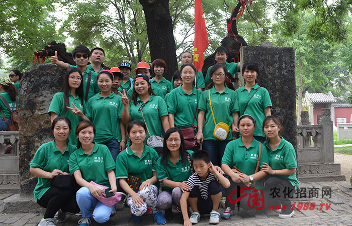 ̩ɽ֮�����e�ӵ�����