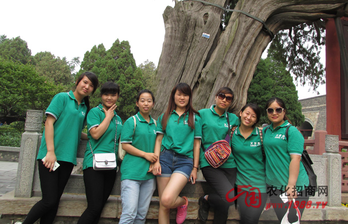 �µǷ塪��̩ɽ֮��