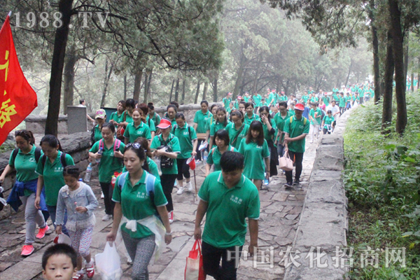 ��8�꣬�ҵ�8��