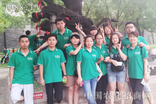 �A�ڌW�������ڸ�׃