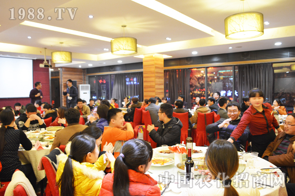 �Ų�����������