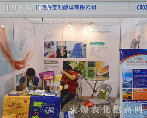 �V����������2016�V���r�Y���[���ɹ��U��Ʒ��Ӱ���