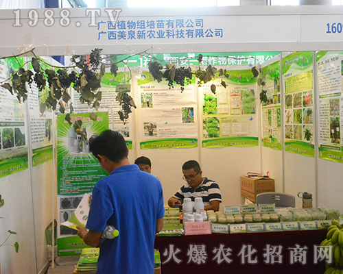 �V����Ȫ�r(n��ng)�I(y��)��2016�ό��r(n��ng)�Y��(hu��)�`������