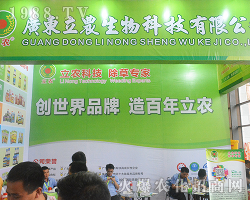 ���r�Ƽ������݌�����