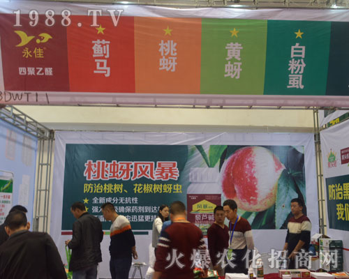 ��������sҫ��չ2016ɽ�|ֲ�����ו�(hu��)