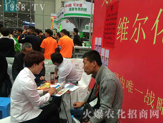 ���u�������2016����ֲ�����ו�һչ�L(f��ng)��