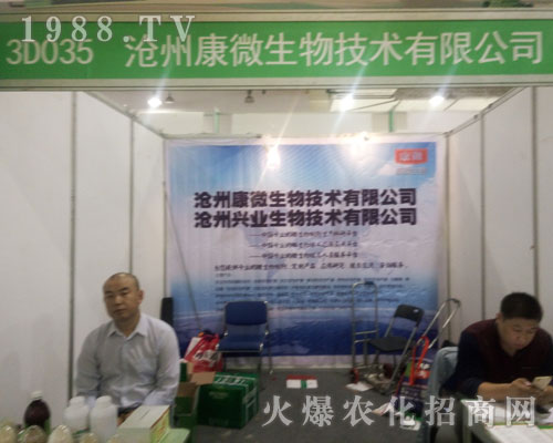 ���ݿ�΢������2016����ֲ������������