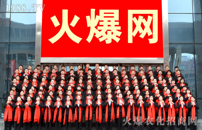 2017�]�����������͸���