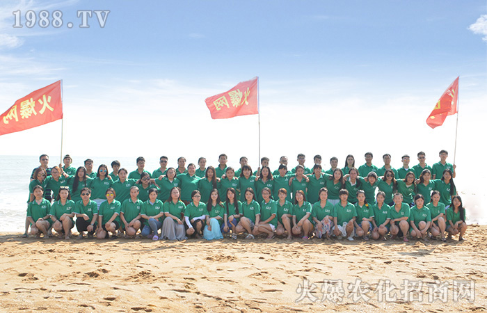 2017�����������^����׌��������