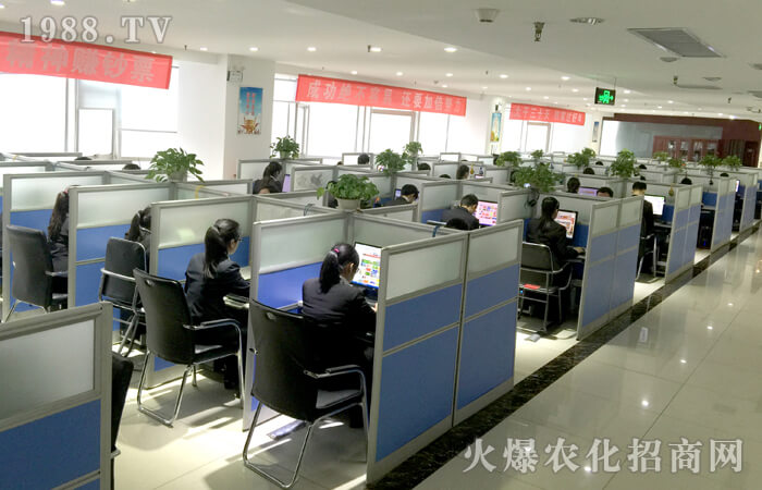 ȫ���Ը�����ƴ����