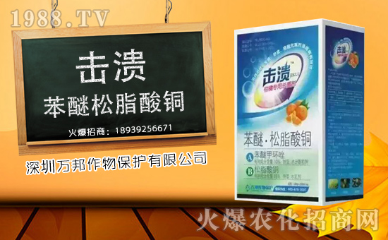 �������f������o�V��͑������ˣ�ף����u��������\(y��n)�B�B��