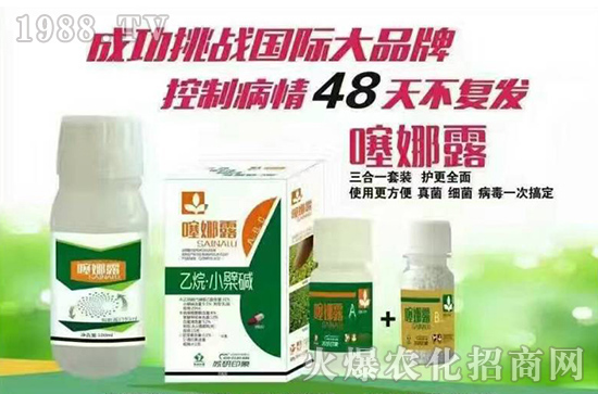 ���K��ӡ��ף���2017�������³ɣ�����������H�Қg����