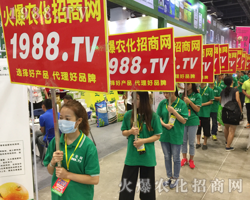     �R�������������2017�V���ό��r(n��ng)�Y����