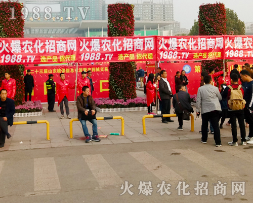     2017ɽ�|ֲ���p������1988.TVŬ��ƴ�����^����ǰ��