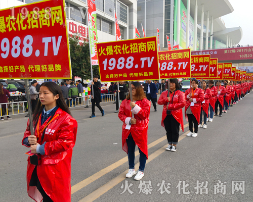 ��������(zh��n)����̤�飡���r(n��ng)���W(w��ng)����(zh��n)��23��ɽ�|ֲ����(hu��)