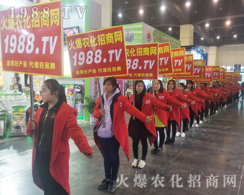 2017����Ϸ����p����(hu��)��1988.TV�����»���