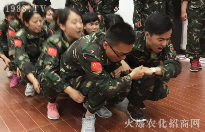 �𱬾W(w��ng)2017�����X��Ӗ(x��n)���I