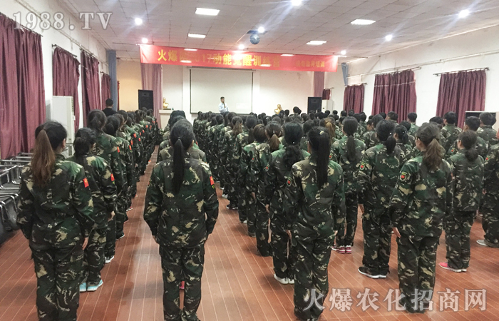 Ҫô����Ҫô��