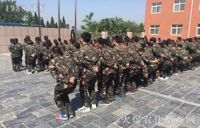 ���w�O�޵�����(zh��n)�������ϴ�Y