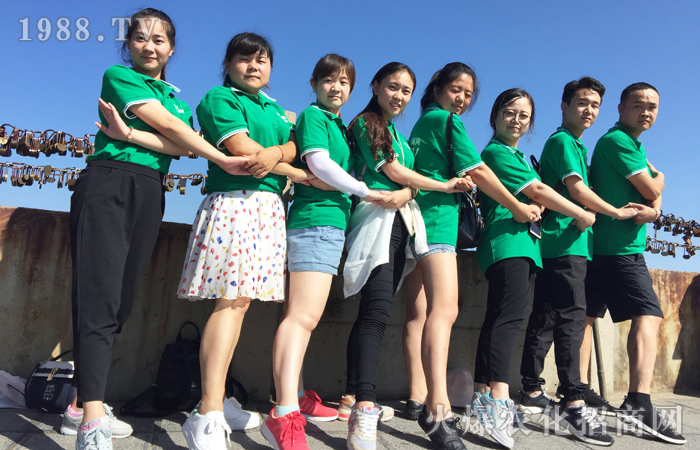 ����ʮ�������������(y��ng)�Կh����ɽ