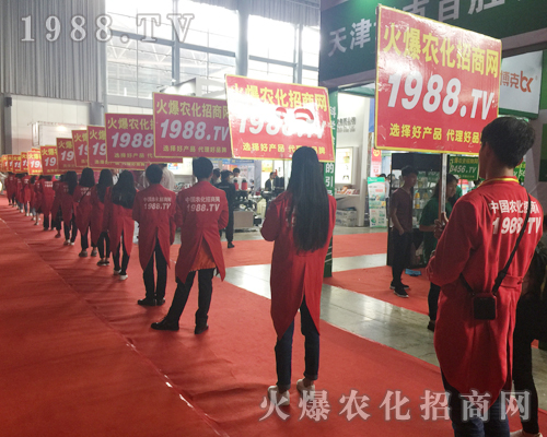  2017�����r(n��ng)�Y����1988.TV�������F(xi��n)�����P(gu��n)ע��