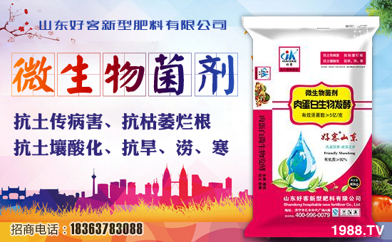 ʮ������η�����������^���������Ě⣬�Α��h����