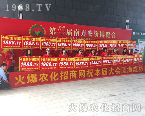 �o̎�����r(n��ng)���W(w��ng)���M�۱M�ǻ𱬼t��