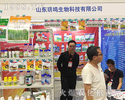 ɽ�|�h�Q���������ʮ�����ό��r�Y��