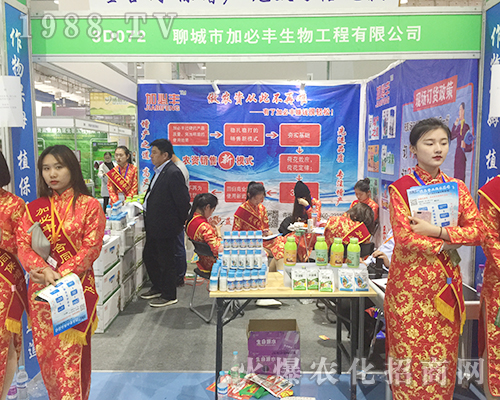 �ӱ��S�����24��ɽ�|ֲ���p����(hu��)�ل�(chu��ng)�x��