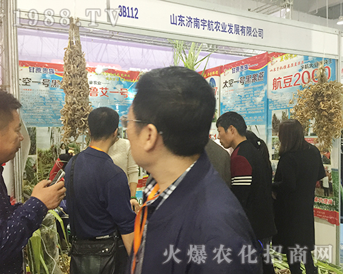 ɽ�|������r�I(y��)��2018ɽ�|����ֲ�����ו����@����