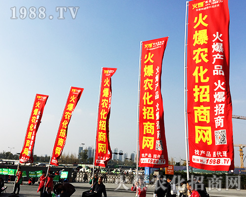 ����ʮ�Č�ȫ��ֲ���������r(n��ng)�����̾W(w��ng)�L��ȫ����